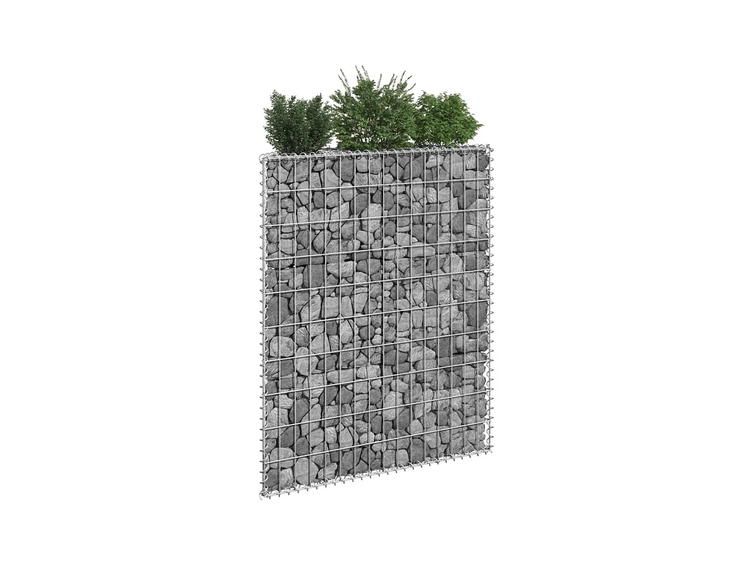 Jardinière à gabion en trapèze Acier galvanisé 80x20x100