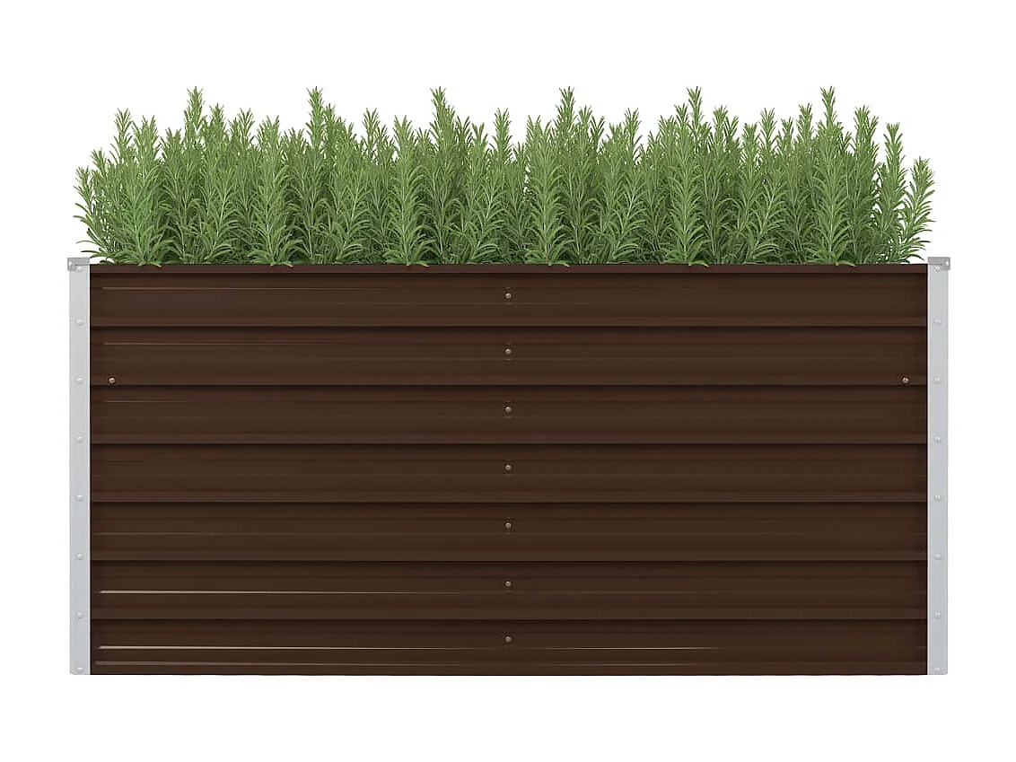 Jardinière surélevée Marron 160x80x77 Acier galvanisé