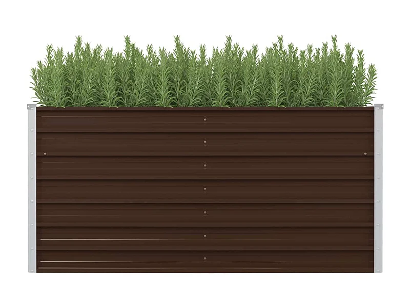 Jardinière surélevée Marron 160x80x77 Acier galvanisé