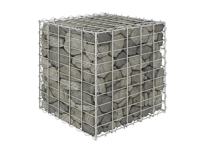 Jardinière cube à gabion Fil d'acier 50x50x50