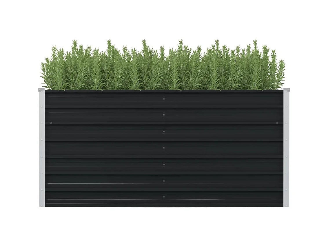 Jardinière surélevée Anthracite 160x80x77 Acier galvanisé