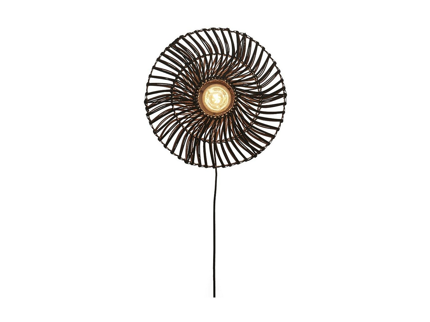 Toppa Api Insetto Ali Nere Toppa Animale Toppa Ricamato Calore Ferro D