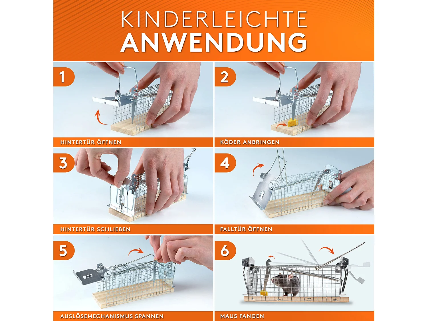 WERKTAL Mausefalle lebend - Hochsensitive
