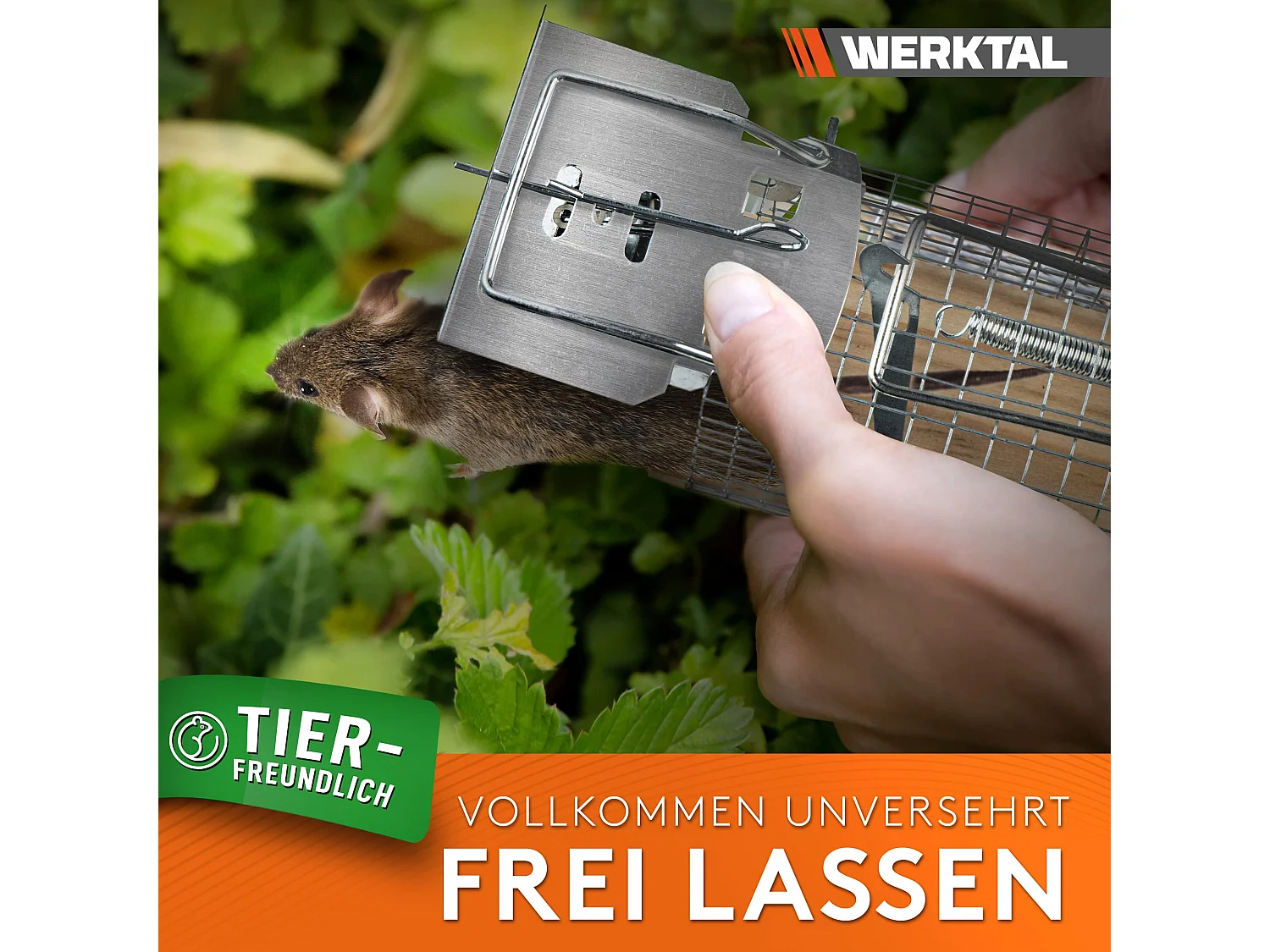 WERKTAL Mausefalle lebend - Hochsensitive