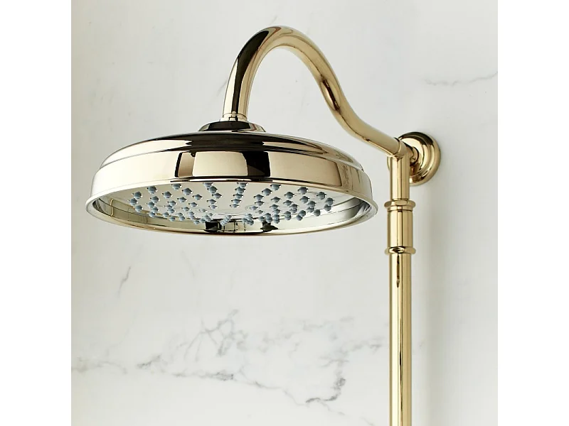 Colonne de douche JACOB DELAFON Cléo 1889 Or beige + nettoyant Briochin