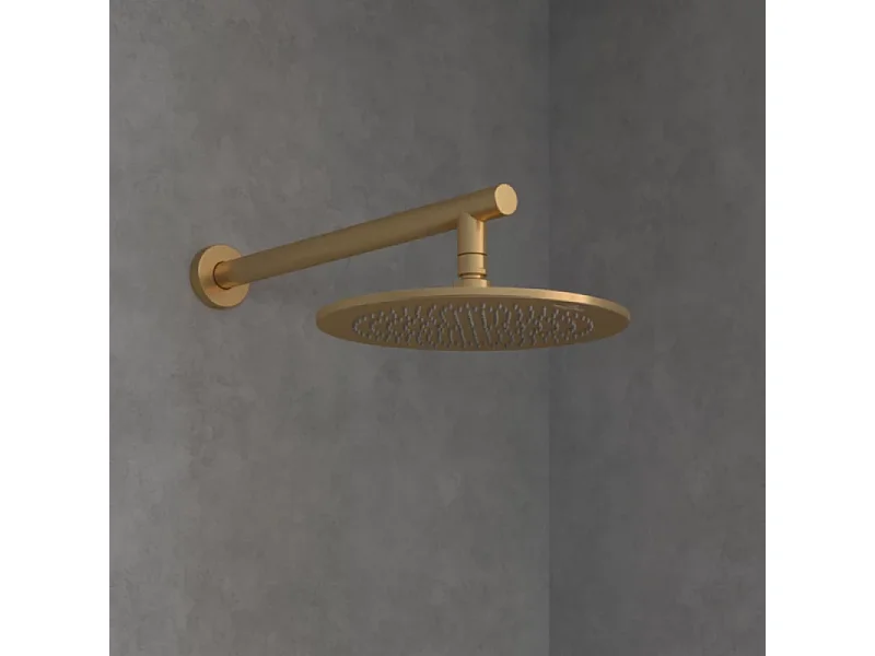 Douche de tête VILLEROY ET BOCH Universal ronde Or brossé