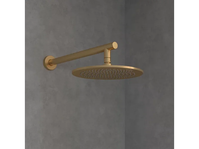Douche de tête VILLEROY ET BOCH Universal ronde Or brossé