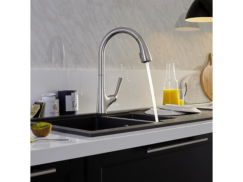 Mitigeur cuisine JACOB DELAFON Forte Bec  douchette extractible en inox brossé