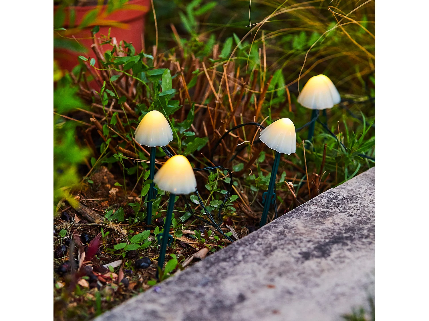 Guirlande mini champignons CHAMPY Blanc Plastique 3.8M