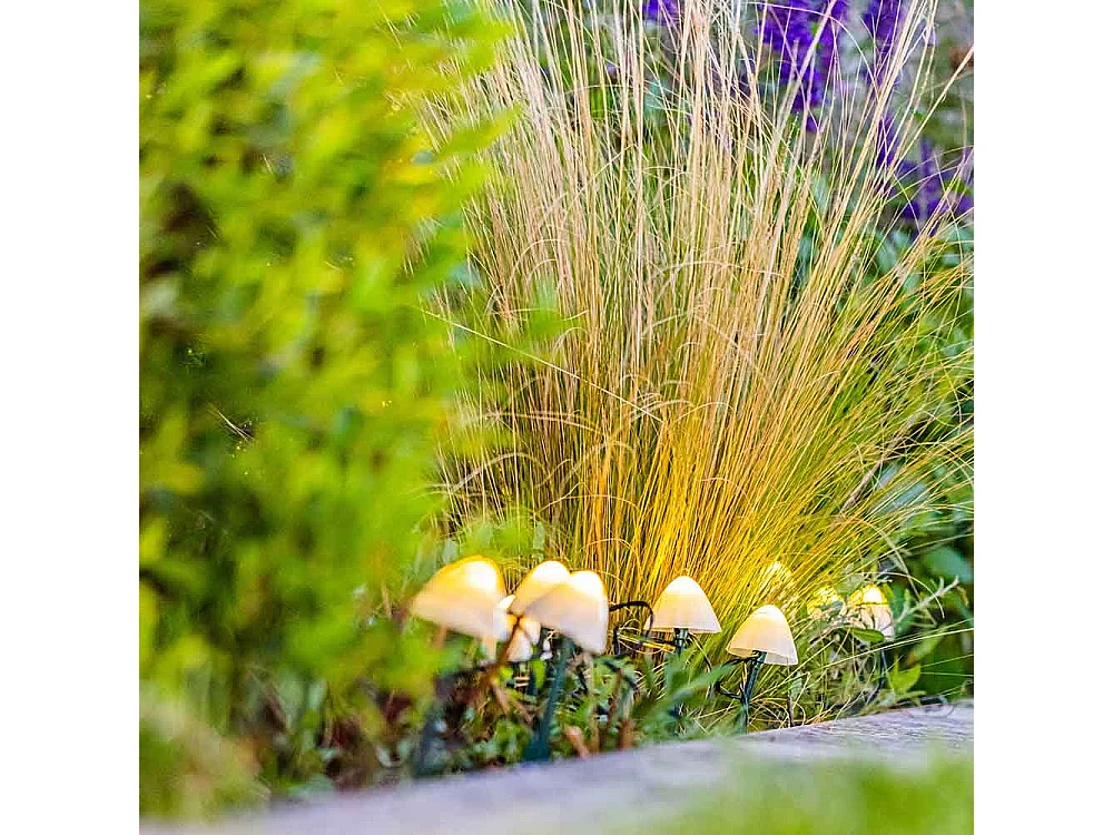 Guirlande mini champignons CHAMPY Blanc Plastique 3.8M