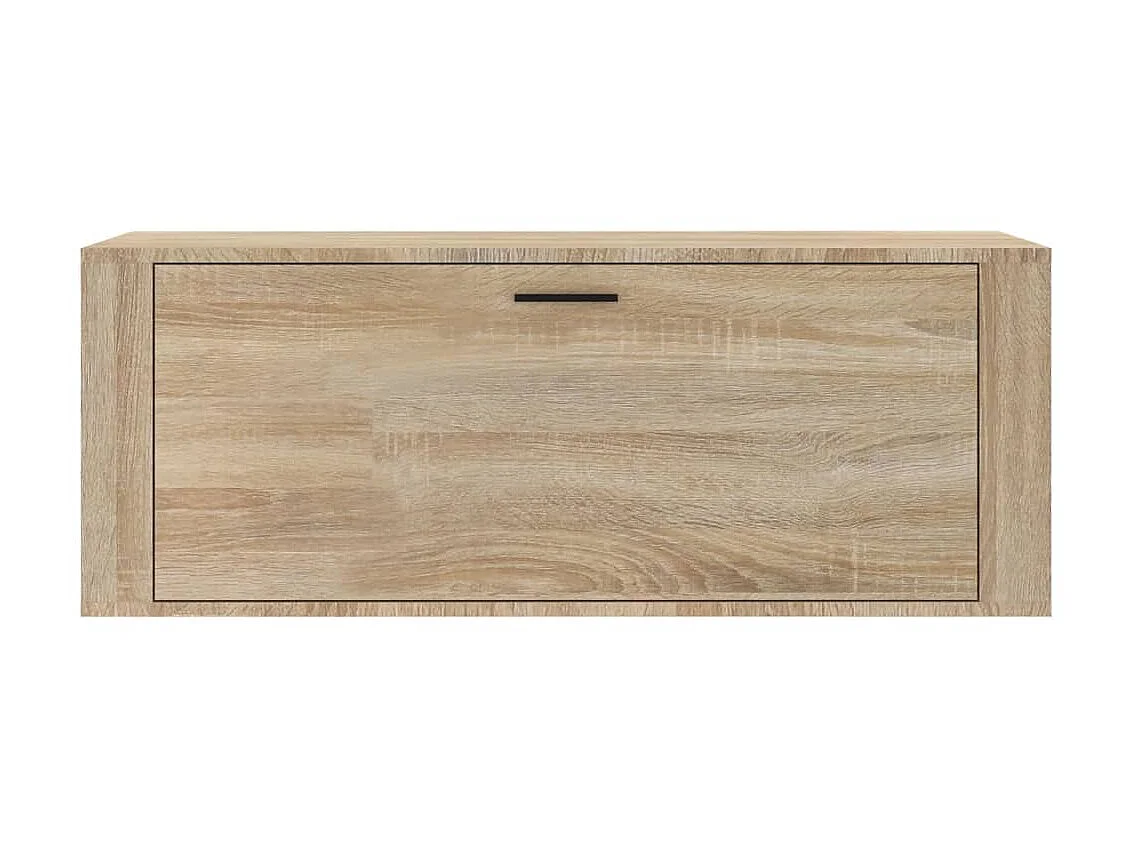 Armoire à chaussures murale Chêne sonoma 100x35x38 cm