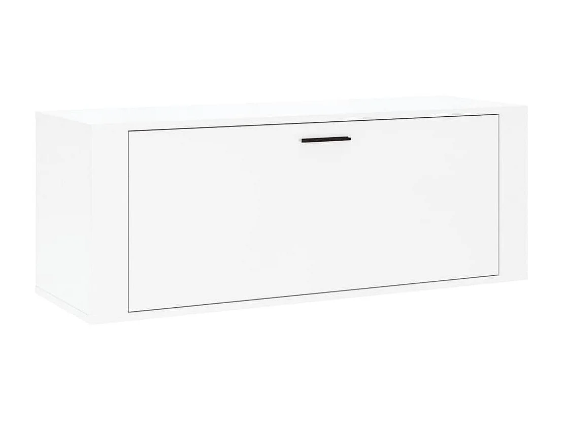 Armoire à chaussure murale Blanc brillant 100x35x38 cm