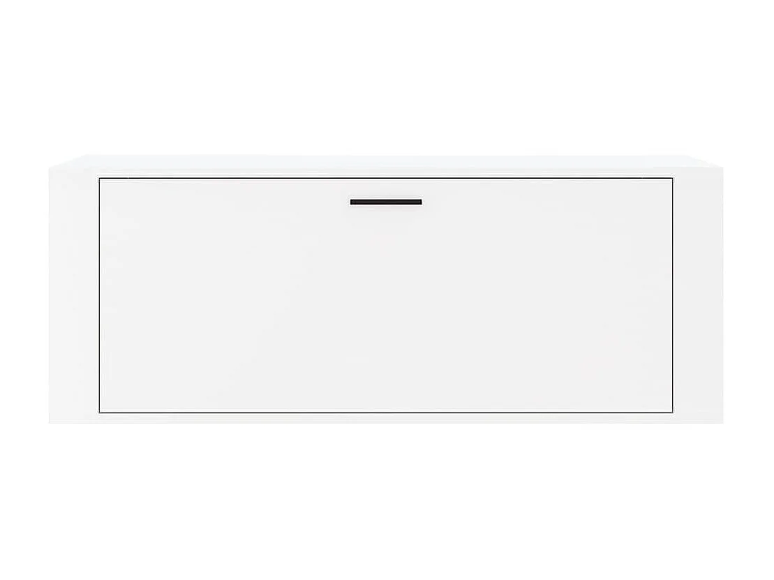 Armoire à chaussure murale Blanc brillant 100x35x38 cm