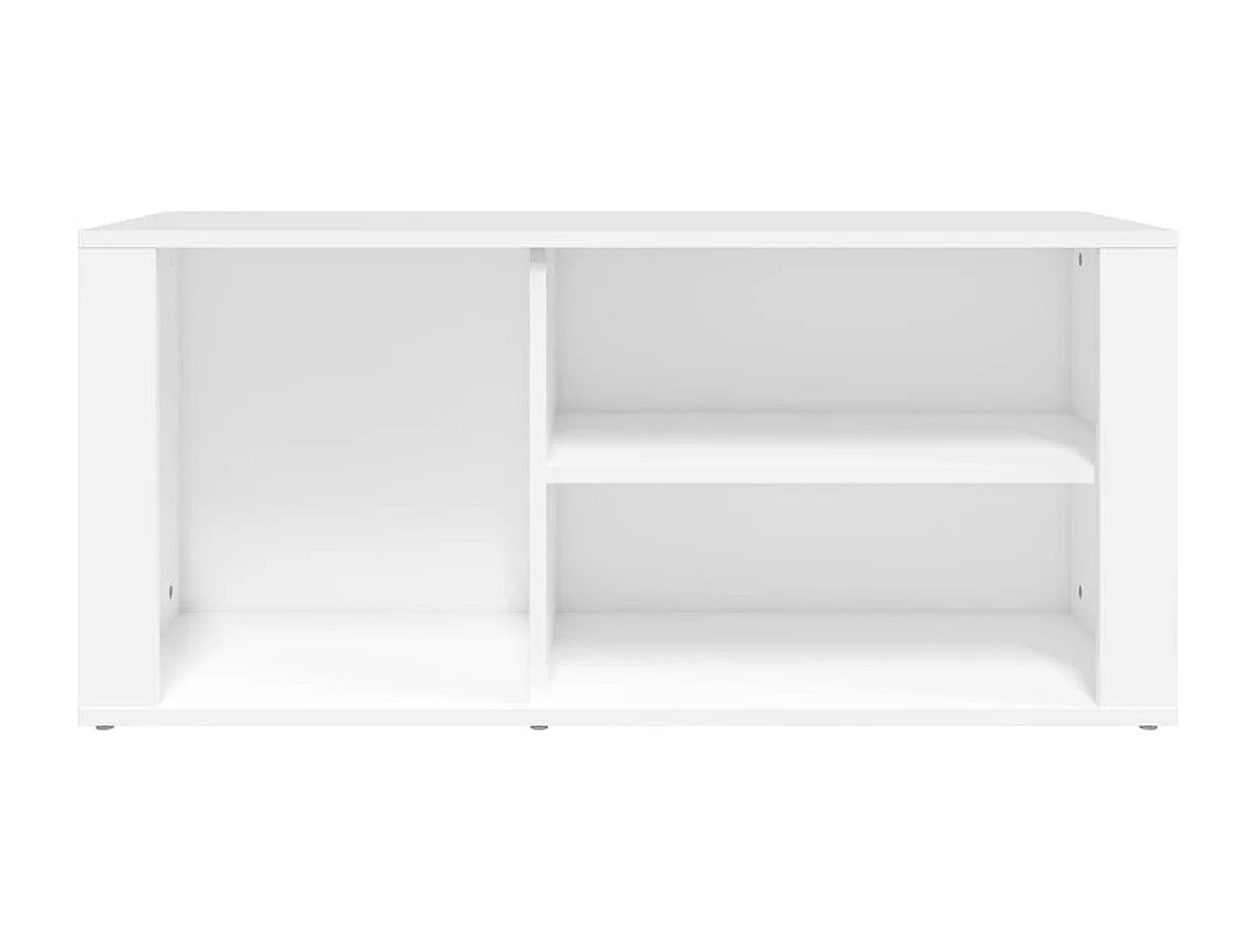 Armoire à chaussures Blanc 100x35x45 cm Bois d'ingénierie
