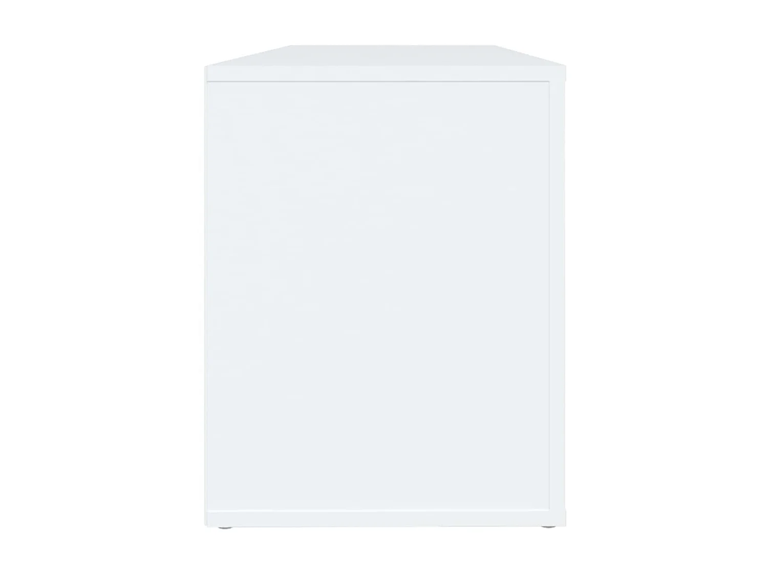 Armoire à chaussures Blanc 100x35x45 cm Bois d'ingénierie