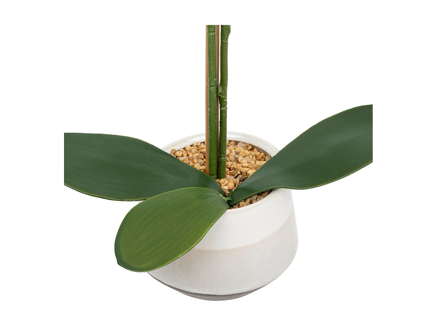Plante artificielle Orchidée Blanche pot en céramique bicolore H 52 cm