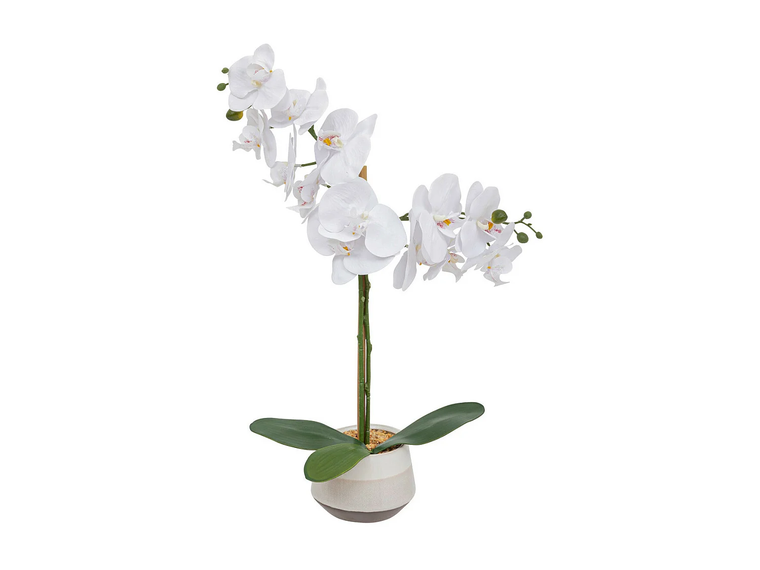 Plante artificielle Orchidée Blanche pot en céramique bicolore H 52 cm