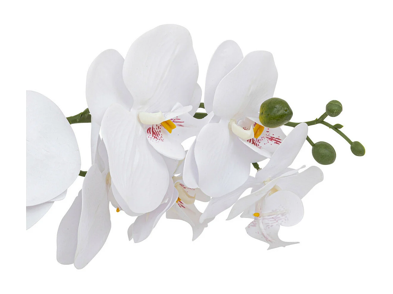 Plante artificielle Orchidée Blanche pot en céramique bicolore H 52 cm