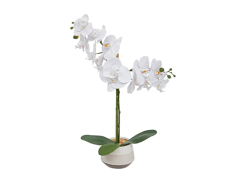 Plante artificielle Orchidée Blanche pot en céramique bicolore H 52 cm