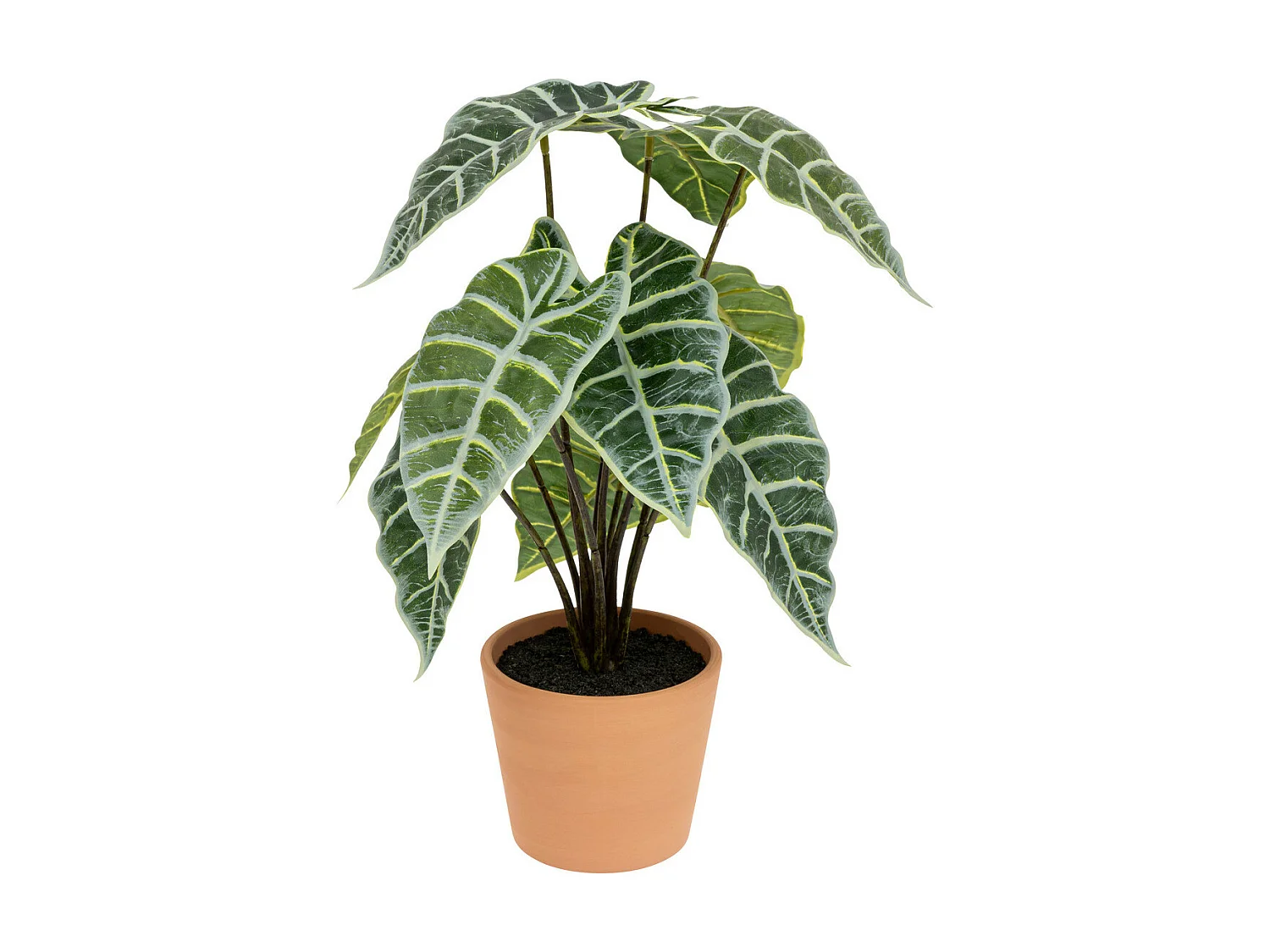 Plante artificielle Alocasia dans Pot en Terre cuite H 43 cm
