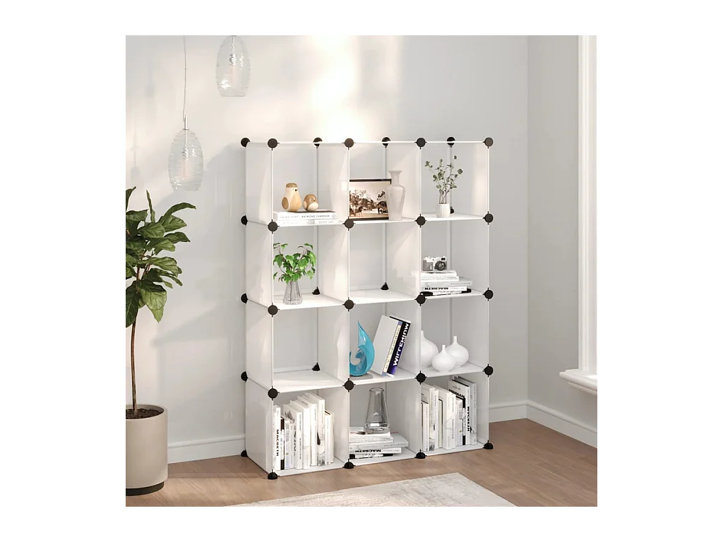 Cubes de rangement 12 pcs Transparent PP