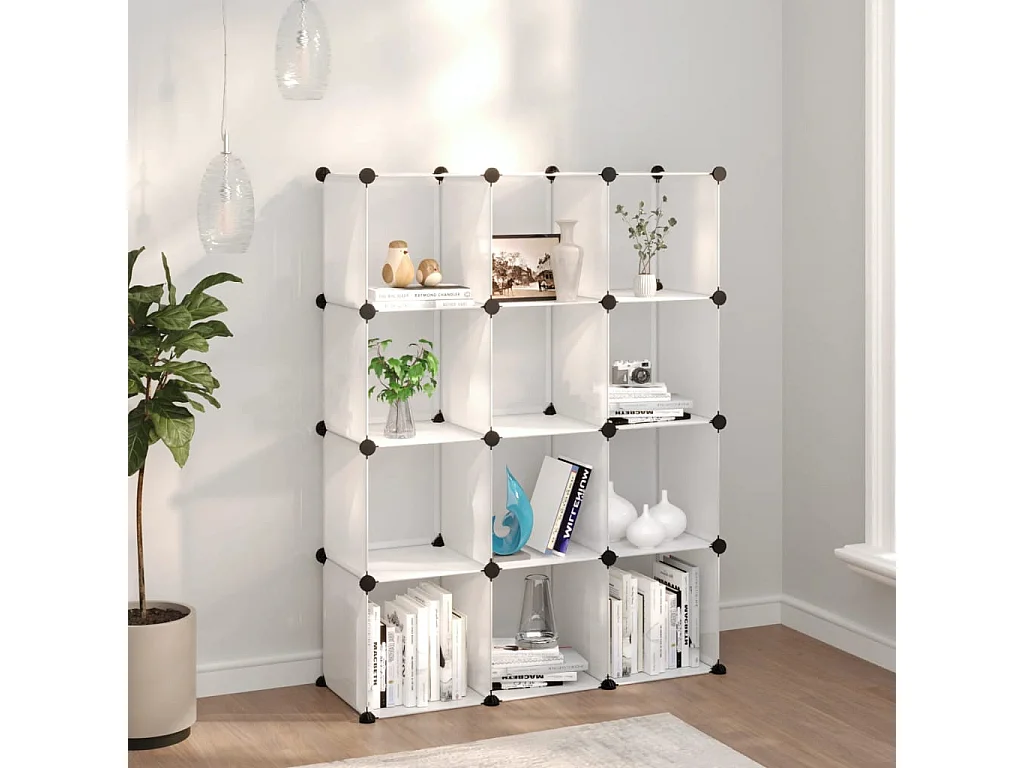 Cubes de rangement 12 pcs Transparent PP