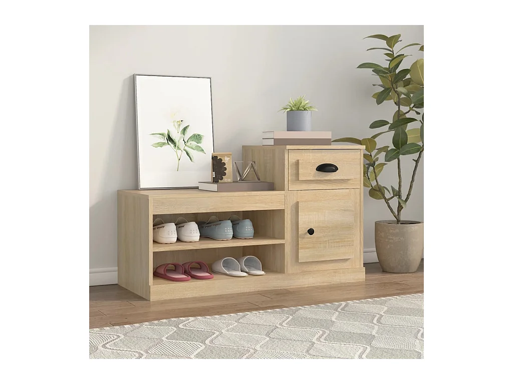 Armoire à chaussures chêne sonoma 100x42x60cm bois d'ingénierie