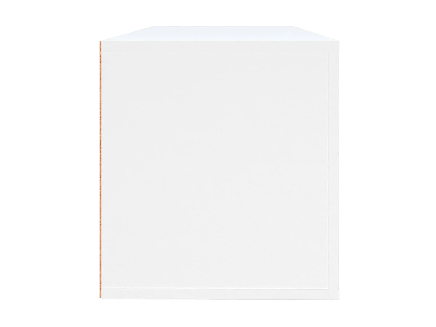 Armoire à chaussures murale Blanc 100x35x38cm Bois d'ingénierie