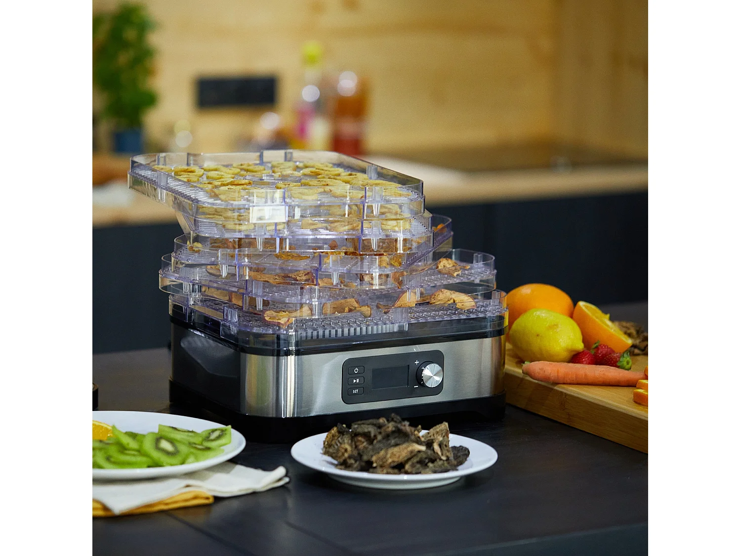 Voedsel dehydrator 250W MANHATTAN