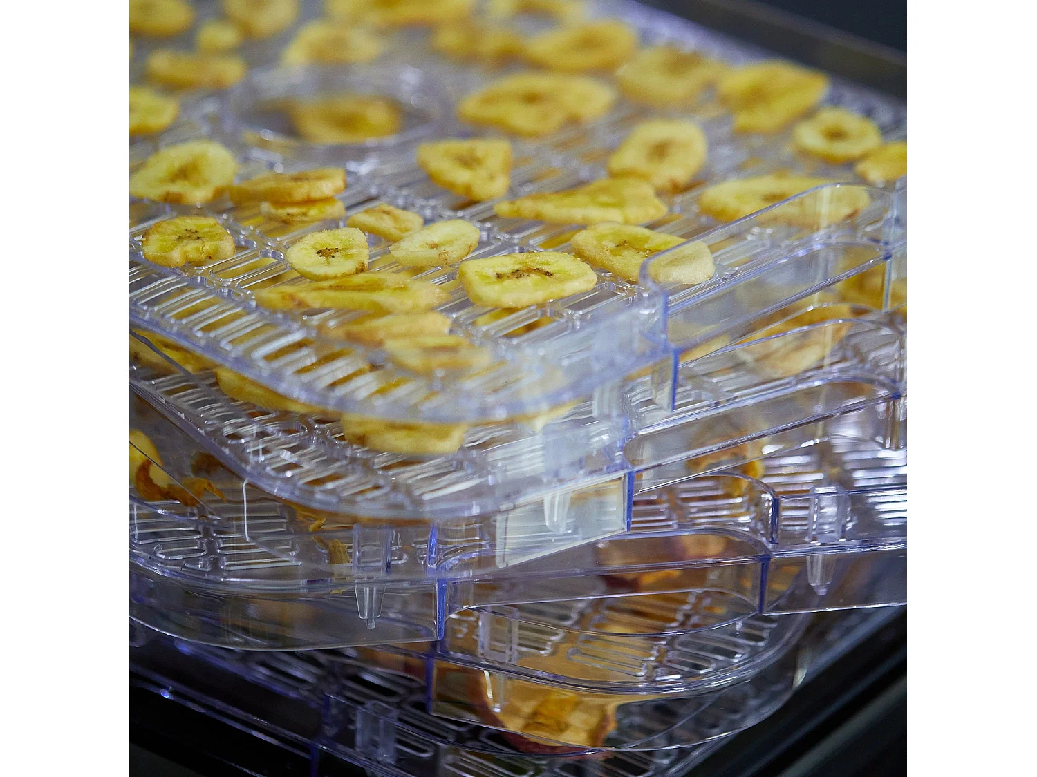 Voedsel dehydrator 250W MANHATTAN