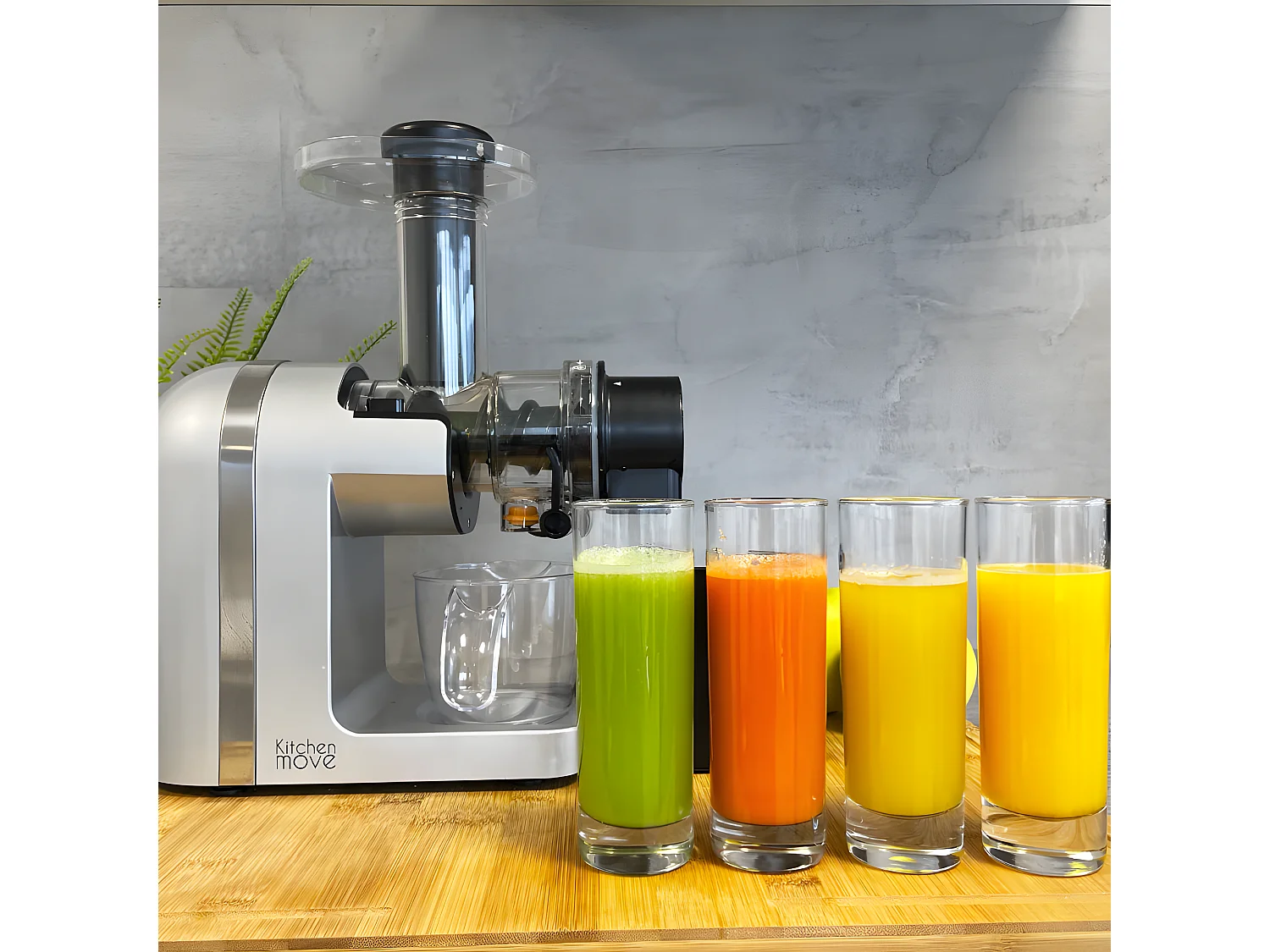 Entsafter 31x13xH36cm SPEZIA