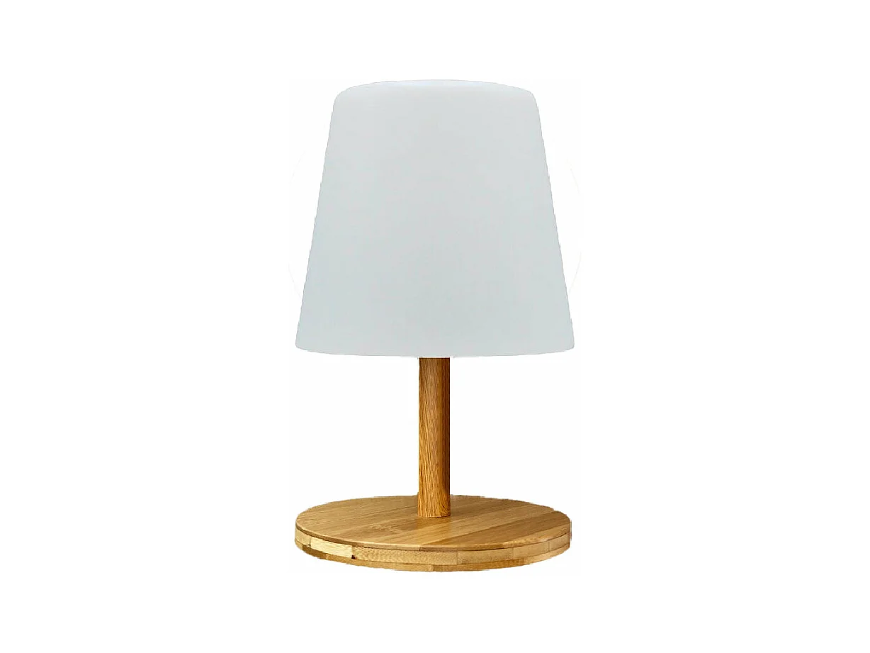 Draadloze LED tafellamp H25CM STANDY MINI