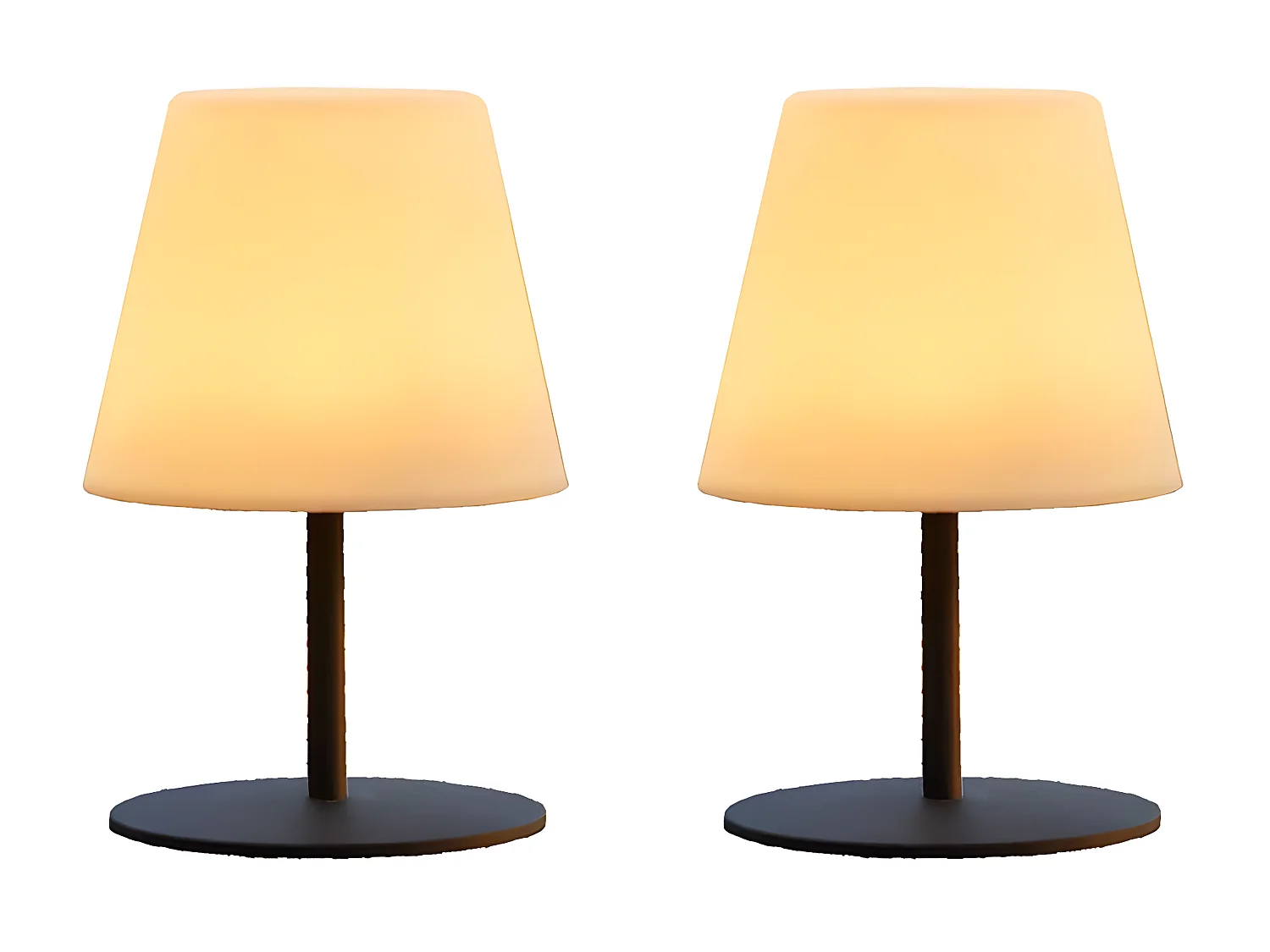 Set de 2 lampes de table sans fil LED TWINS Gris Acier H16CM