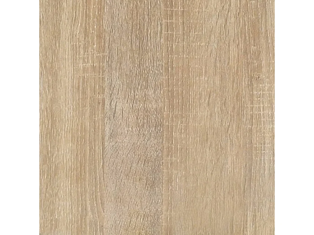 Armoire à chaussures Chêne sonoma 100x35x45cm Bois d'ingénierie