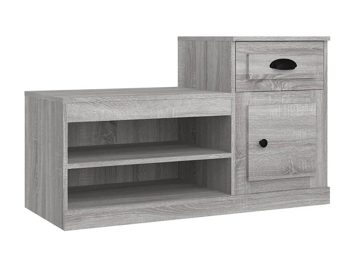 Armoire à chaussures sonoma gris 100x42x60 cm bois d'ingénierie