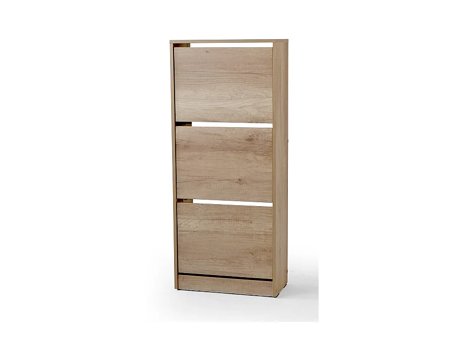 Armoire à chaussures, meuble à chaussures avec 3 portes abattantes coloris chêne cambrian