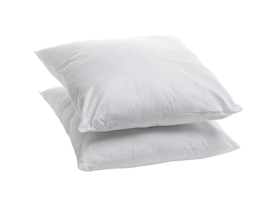 Lot de 2 Oreillers 60x60cm moelleux Anti punaises de lit