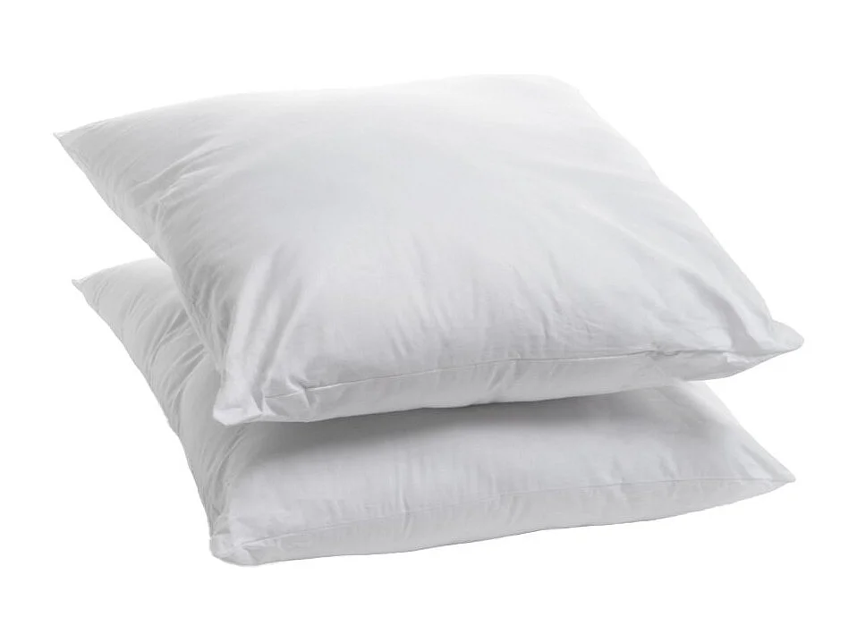 Lot de 2 Oreillers 60x60cm moelleux Anti punaises de lit