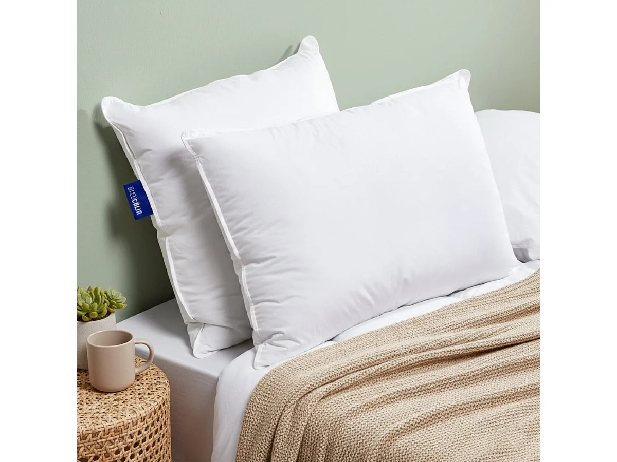 Lot de 2 oreillers 50x70cm souples Sensation Duvet gonflants