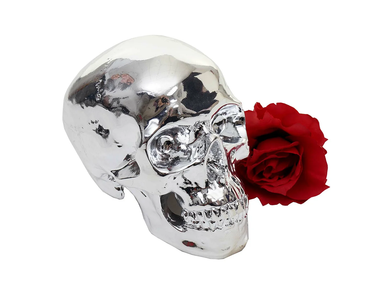 Decoratieve doodshoofd MCW-T921