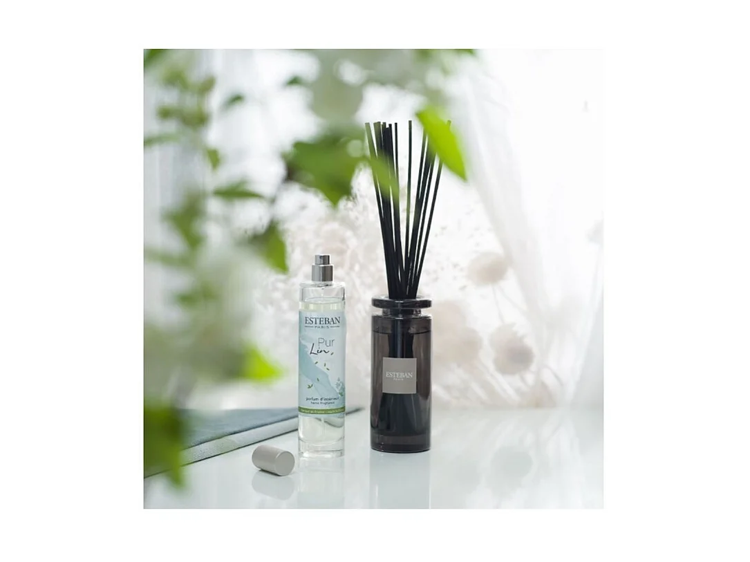 Bouquet parfumé initial Pur lin 100 ml