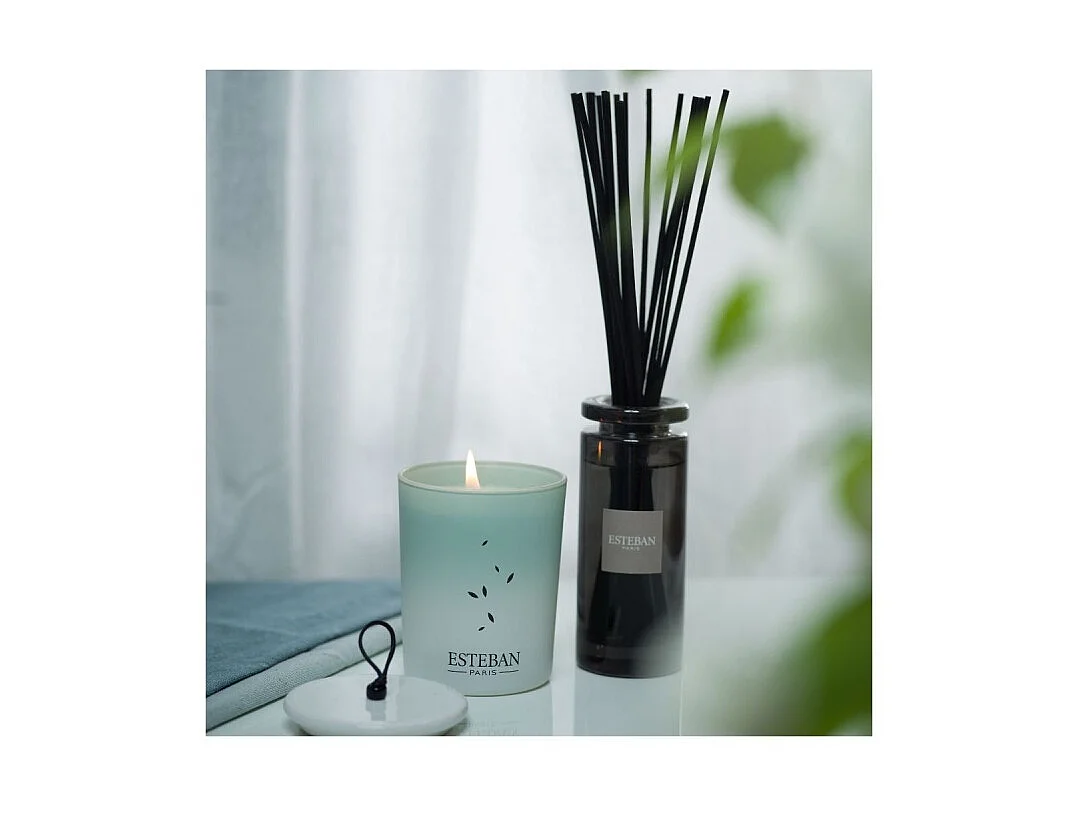 Bouquet parfumé initial Pur lin 100 ml