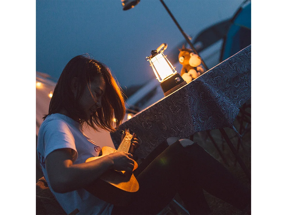 Bezprzewodowa lampa LED WILDY H23cm