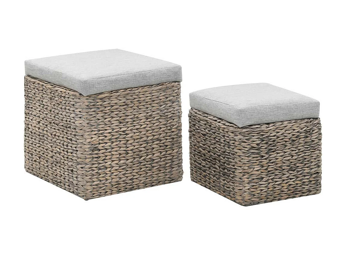 Repose-pied 2 pcs Jacinthe d'eau Gris