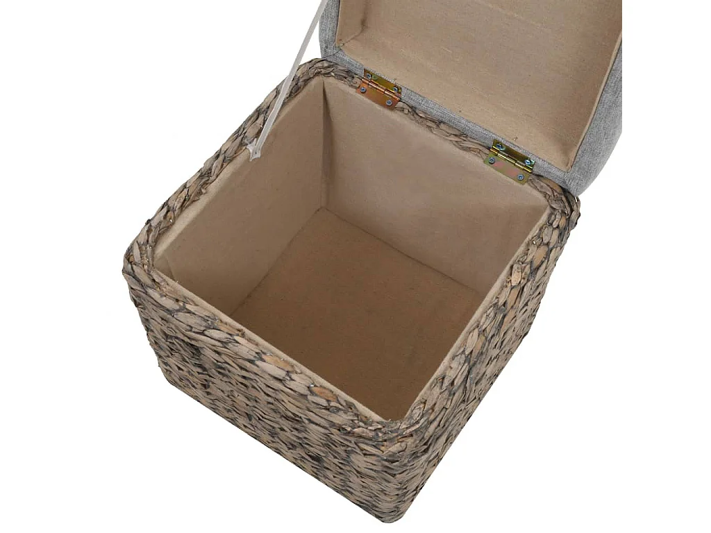 Repose-pied 2 pcs Jacinthe d'eau Gris