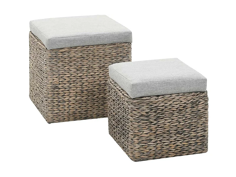 Repose-pied 2 pcs Jacinthe d'eau Gris