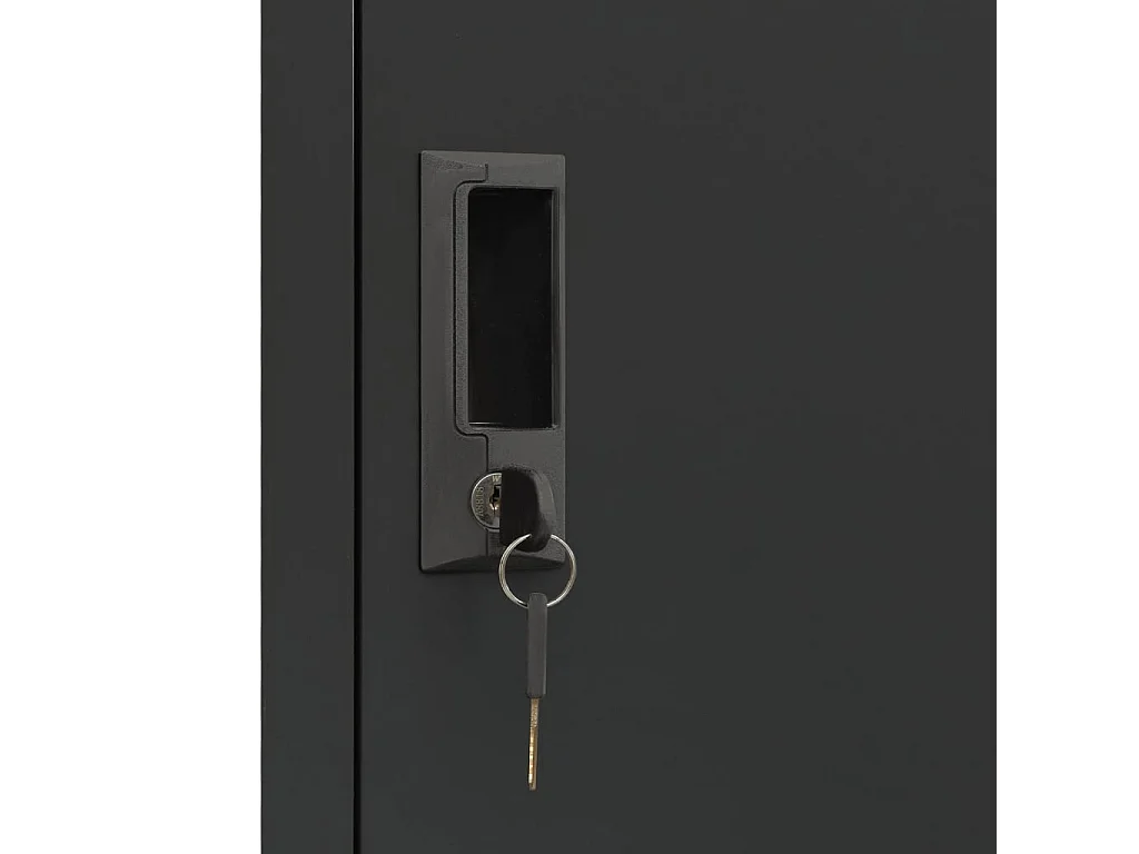 Armoire à casiers Anthracite 38x40x180 Acier