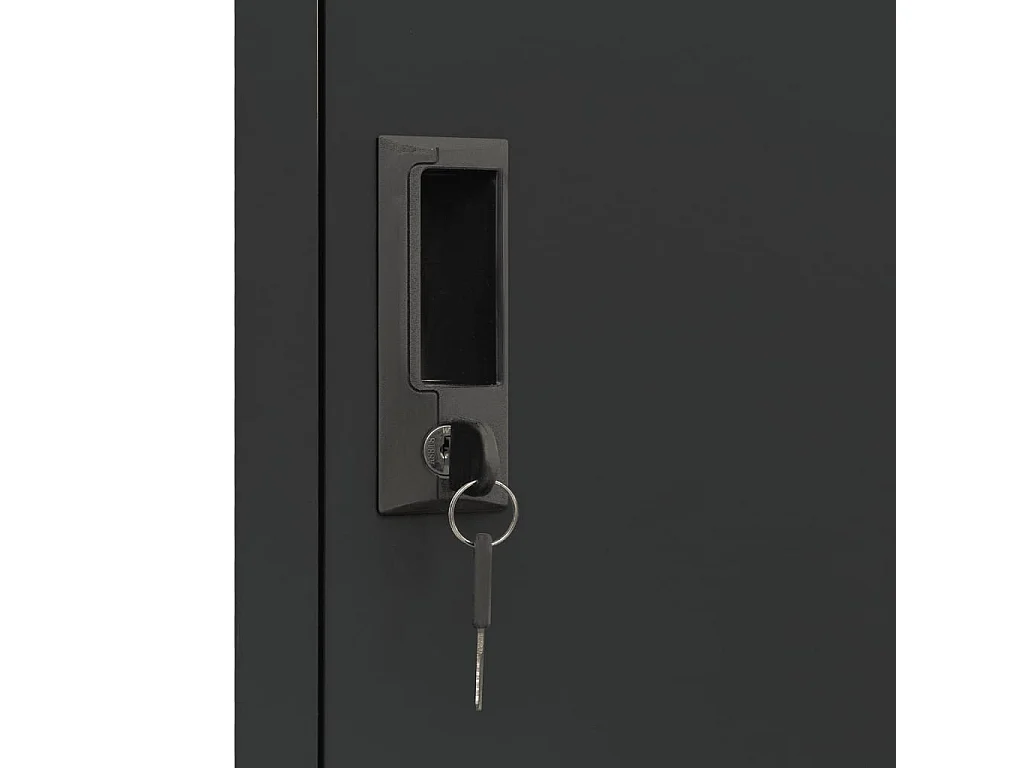 Armoire à casiers Anthracite 38x45x180 Acier