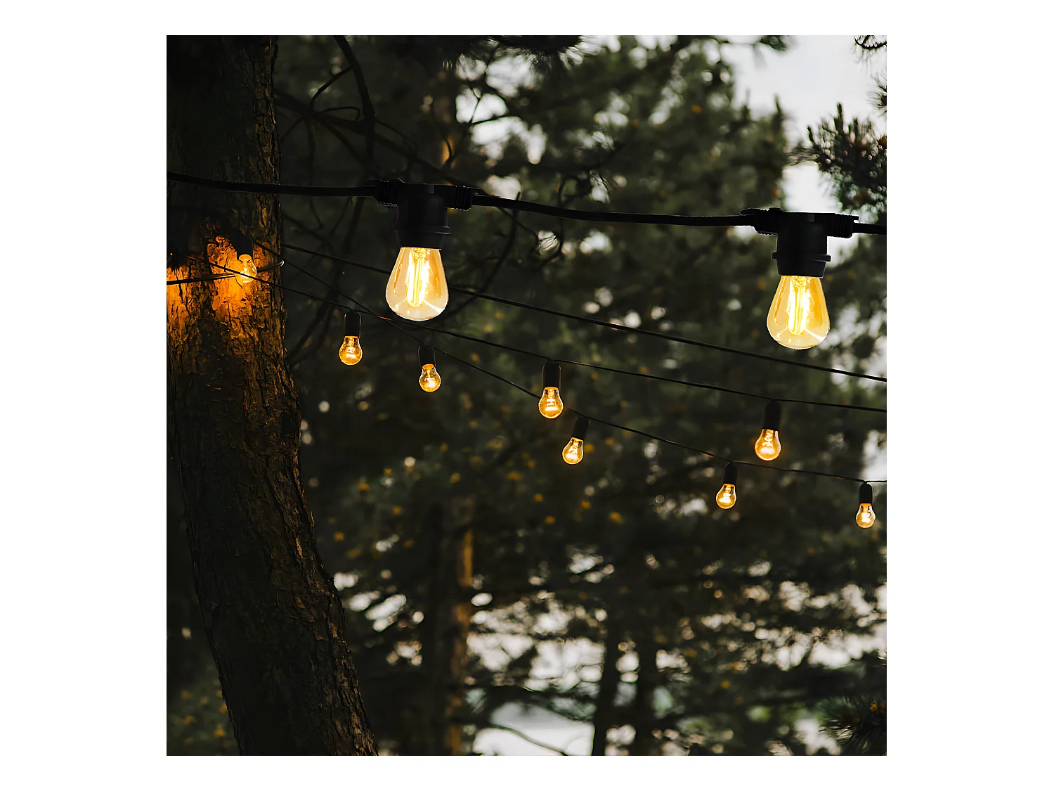 Guirlande connectable LINK ME Noir Caoutchouc 5M 10xE27