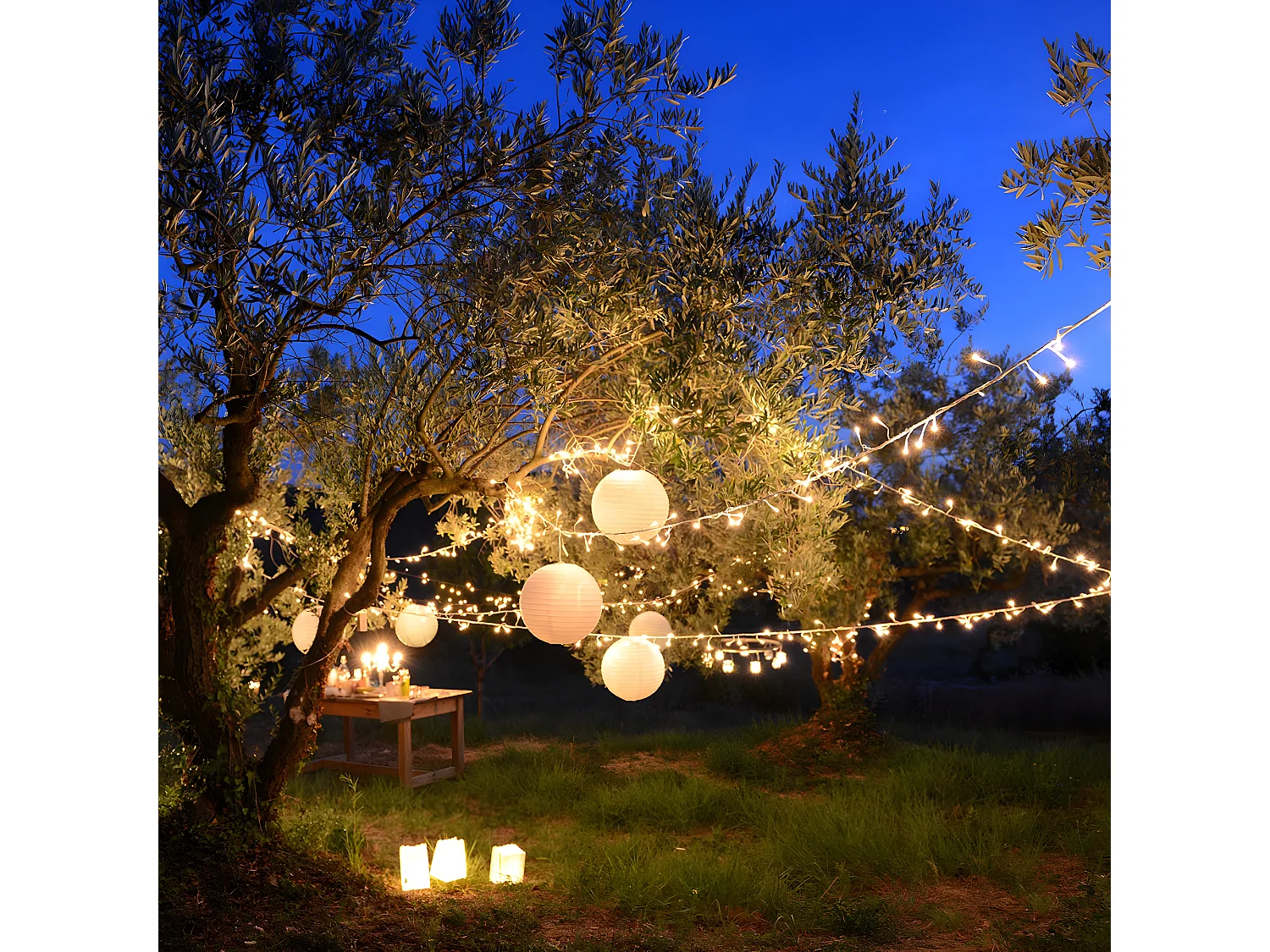 Ghirlanda luminosa solare 16.3M YOGY